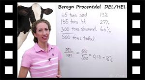 Procent: DEL divideret med HEL