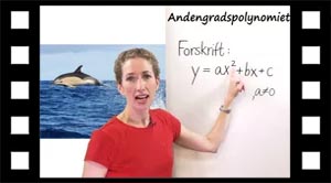 Andengradspolynomier som modeller på virkeligheden.