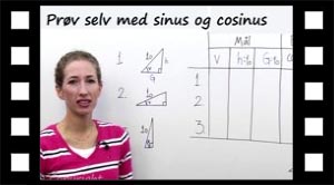 Aktivitet: Prøv selv med sinus og cosinus