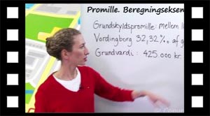 At bestemme en promille andel af et beløb
