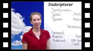 Hvad er deskriptorer