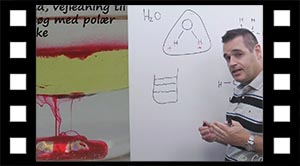 Aktivitet: Prøv at blande polære og ikke polære væsker