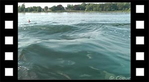 Refleksion, spejling og ekko