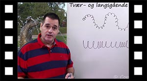 Tvær og langsgående bølger