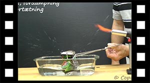 Damp i dåse fortættes