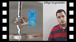 Giftige tungmetaller