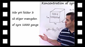 Koncentration og pH