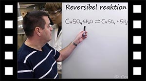 Reversibel reaktion