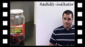 Rødkålsindikator