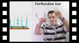 Forbundne kar