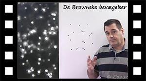 De Brownske bevægelser
