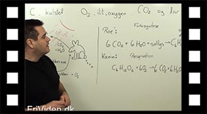 Kredsløb, kulstof og ilt (oxygen)